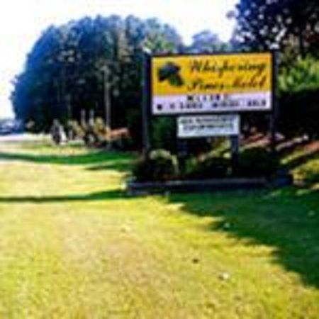 The Whispering Pines Motel- Whitestone White Stone Exterior foto
