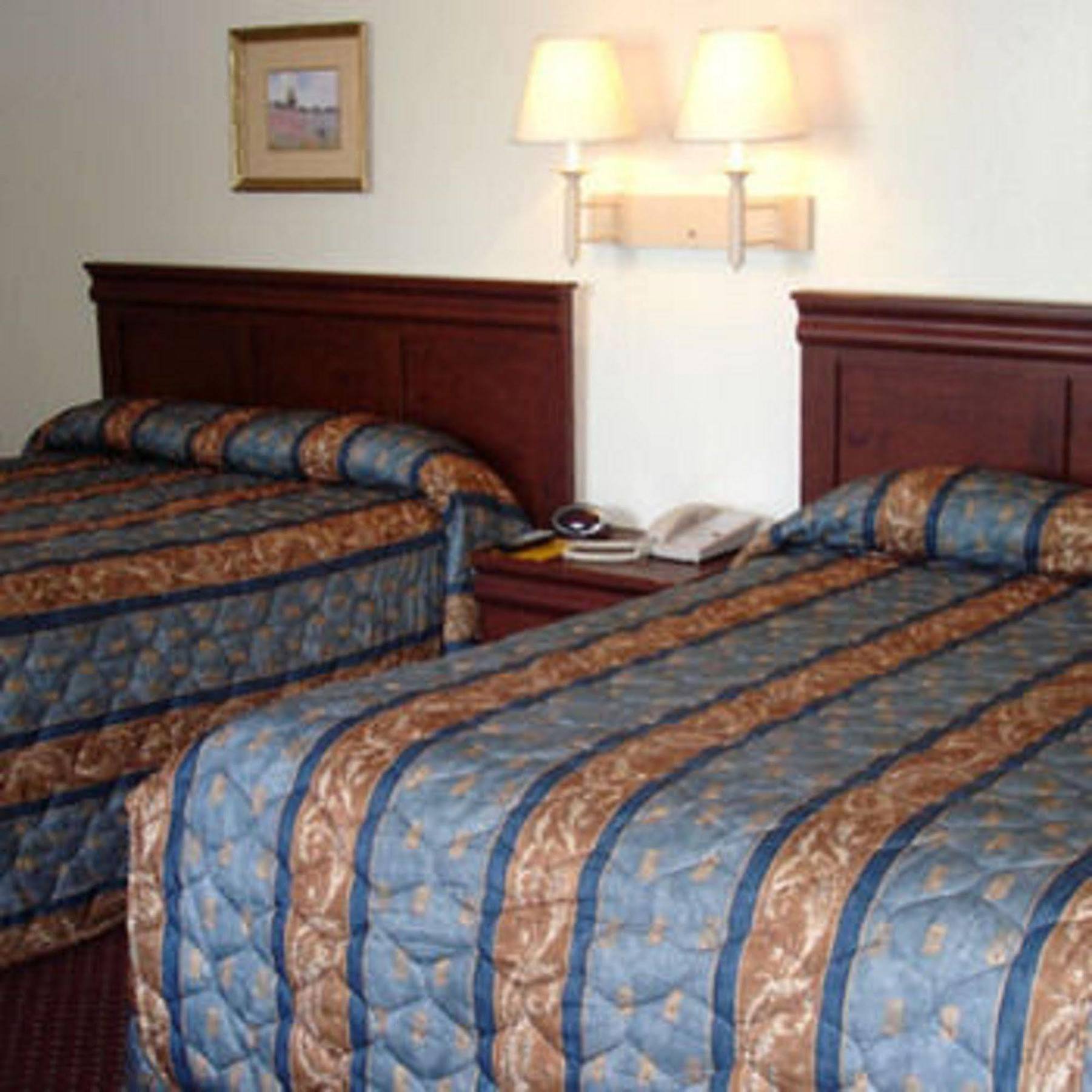 The Whispering Pines Motel- Whitestone White Stone Habitación foto